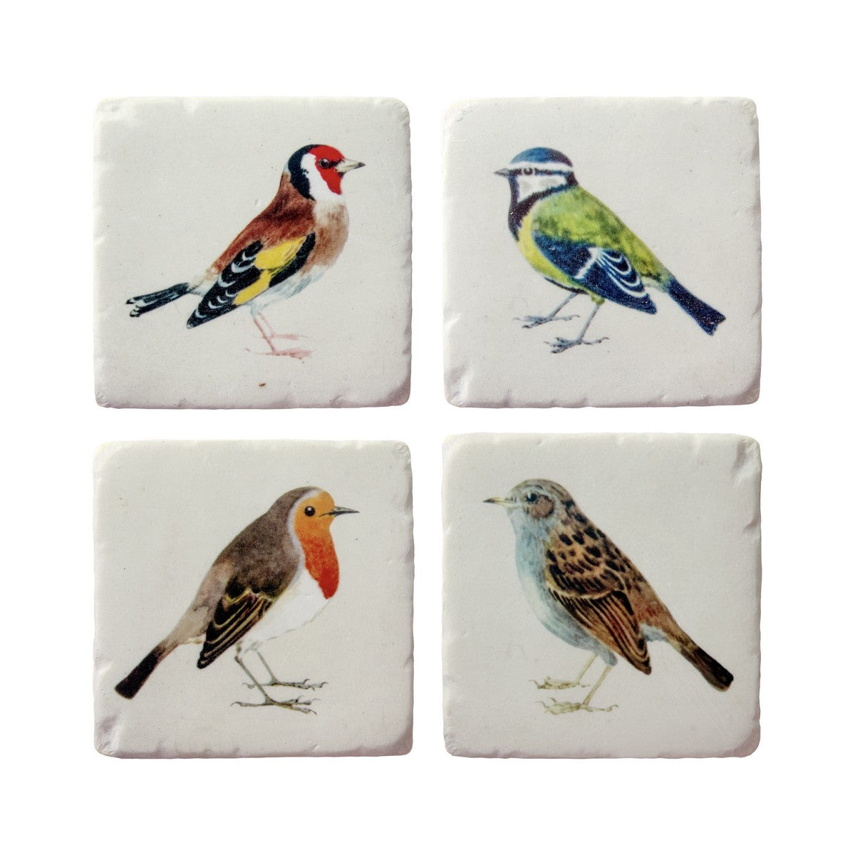 Vintage Birds Coasters - Set of 4