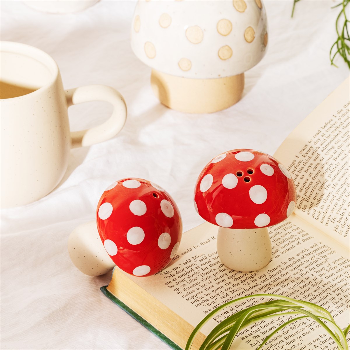 Red Mushroom Salt and Pepper Set