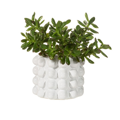 White Bobble Planter