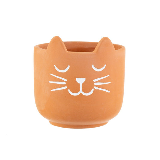 Mini Cat's Whiskers Terracotta Planter