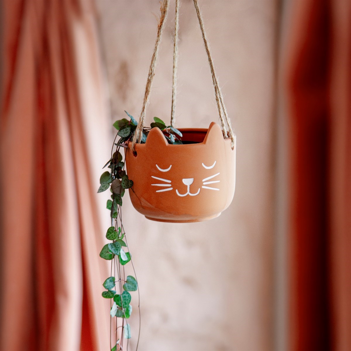 Cat's Whiskers Terracotta Hanging Planter