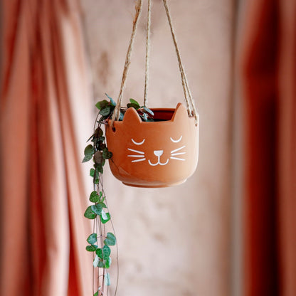 Cat's Whiskers Terracotta Hanging Planter