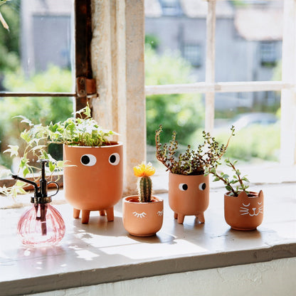 Mini Eyes Shut Terracotta Planter