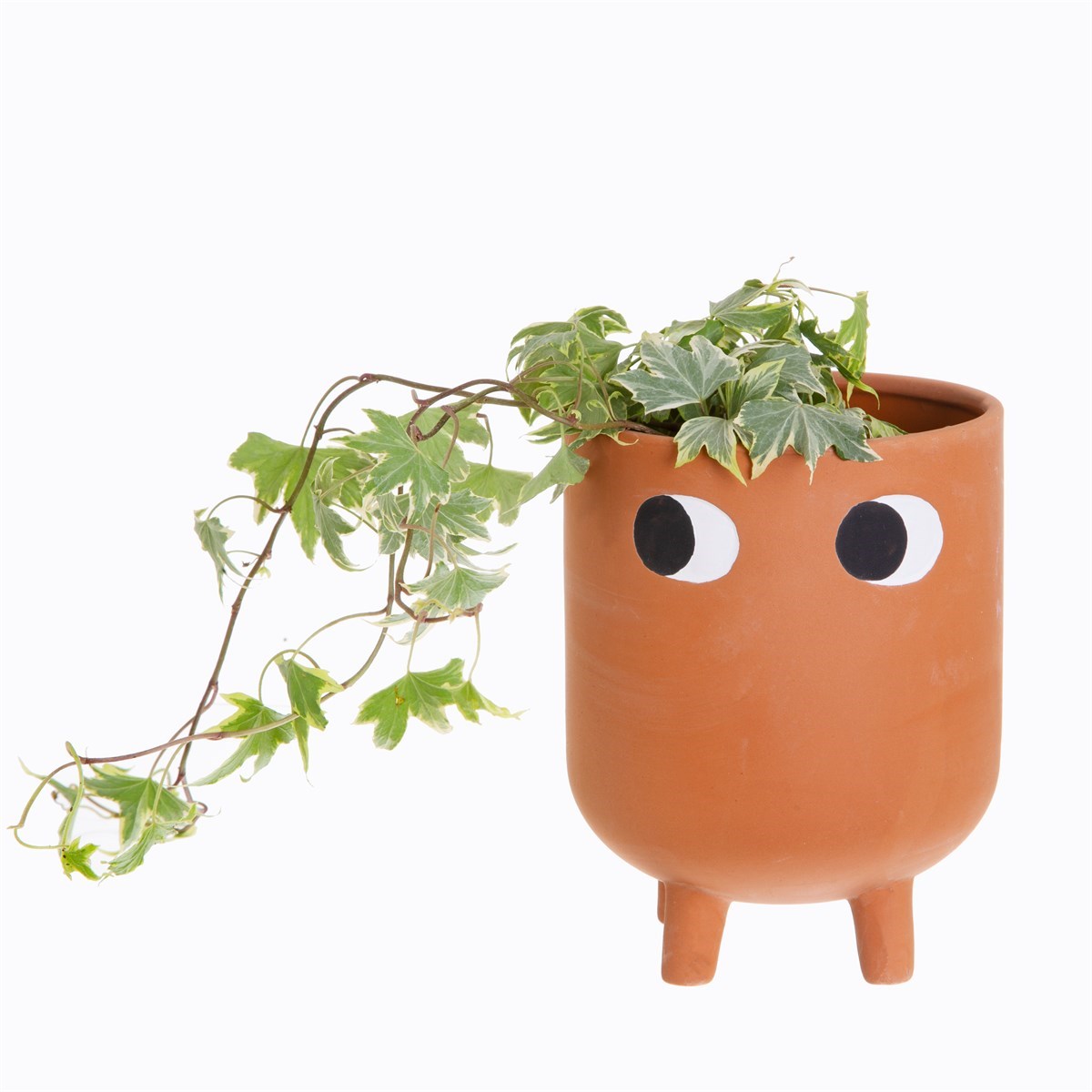 Leggy Terracotta Planter