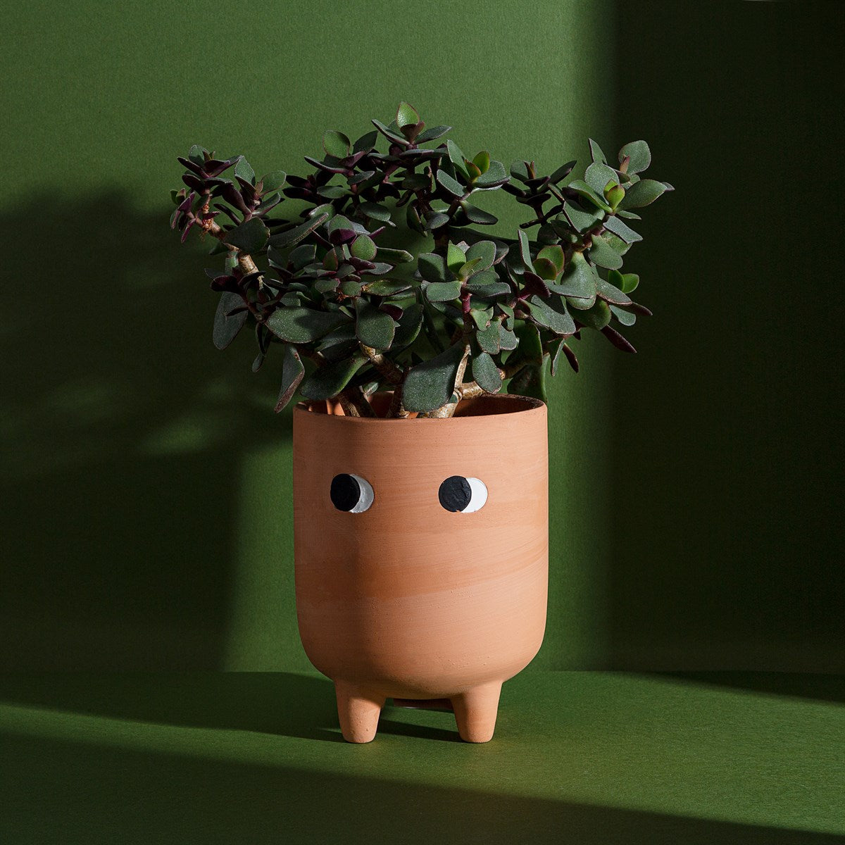 Leggy Terracotta Planter