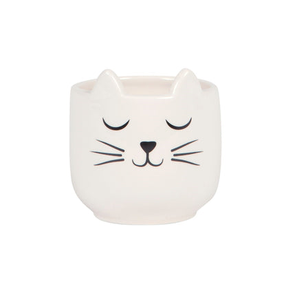 Mini Cat's Whiskers White Planter