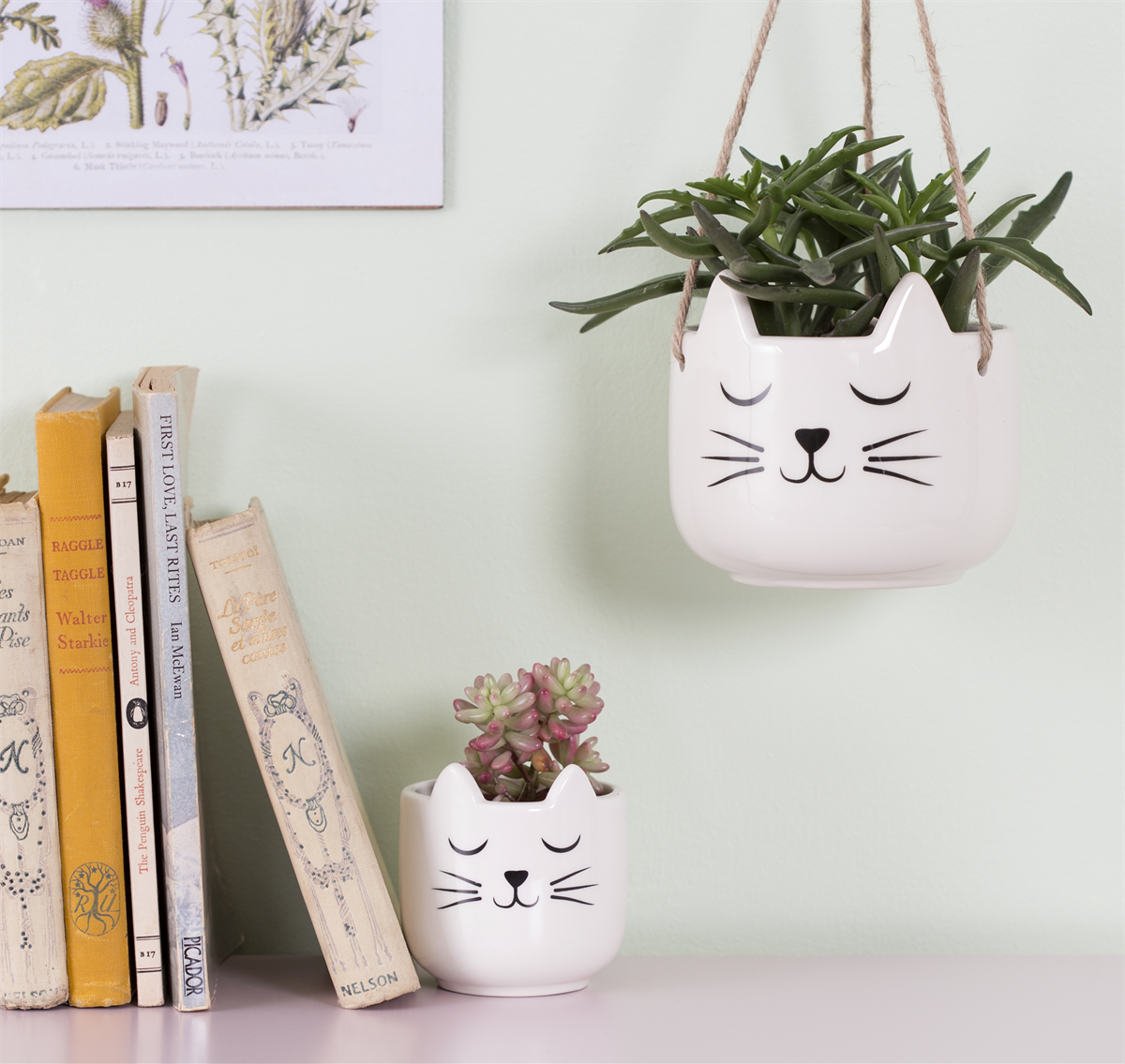 Mini Cat's Whiskers White Planter