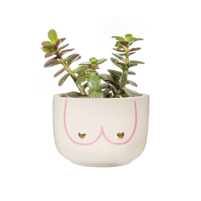 Large Girl Power Boobies White Planter