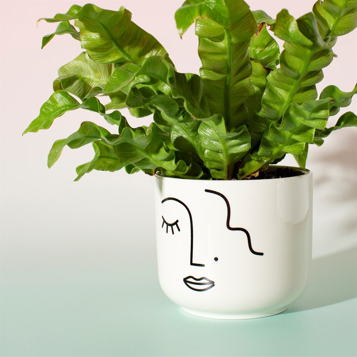 Abstract Face White Large Planter