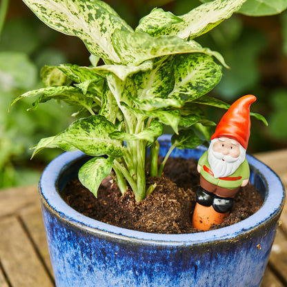 Gnome Watering Spike